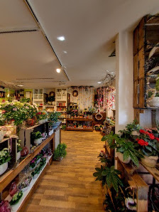Ambiente & Blumen Meisterfloristik