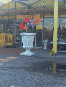 Blumencenter Krüppel Allrath