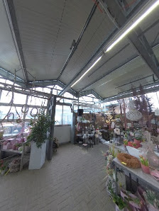 Blumencenter Krüppel Allrath