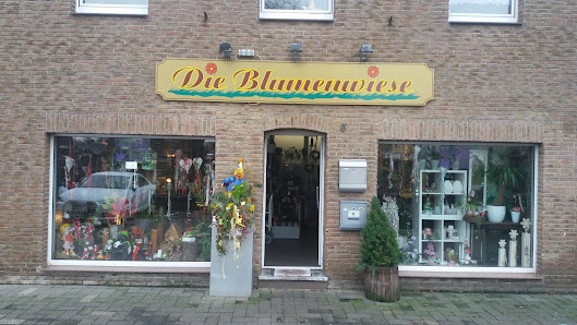 Die Blumenwiese
