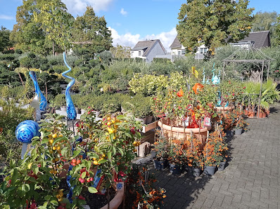 Roozen Blumen und Pflanzen