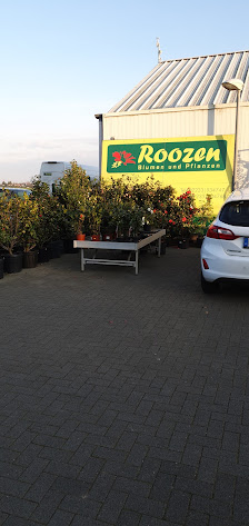 Roozen Blumen und Pflanzen