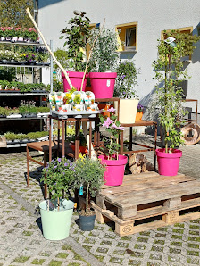 Blumen & Floristik Pohlmann