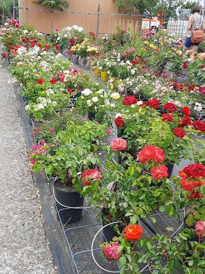 Petra Rosenbrock Baumschulen & Gartengestaltung