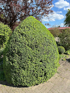 Haufe Gartenservice