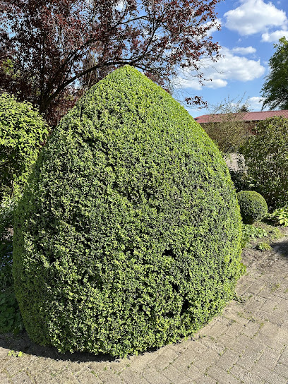 Lachendorf