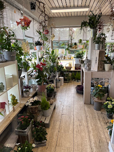 Blumenhaus Langer