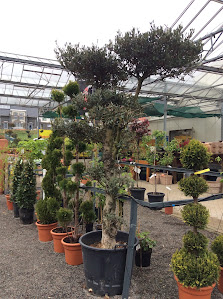 Garten & Gebäude Service Schön