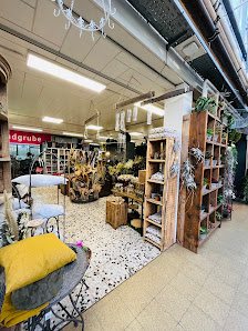 Dinger's Gartencenter Köln