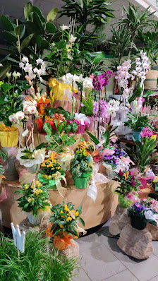 Die Blumenquelle