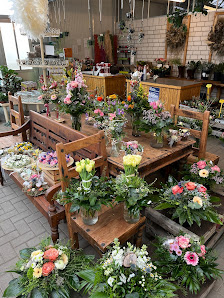 Blumen Petersohn