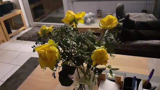 Blumen Hanisch e.K.