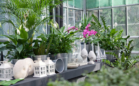 Gartencenter EFFENBERGER