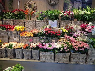 Blumenstübchen Anika Meyer