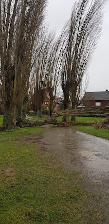 Behme Garten- und Landschaftsbau