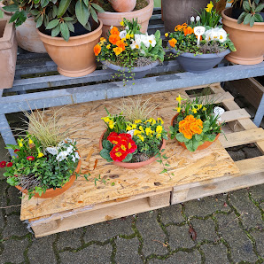 B.H. Gartencenter Hohenhameln GmbH