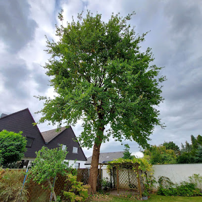 Forst- und Gartendienstleistung David Becker
