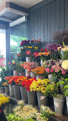 Holland Flower
