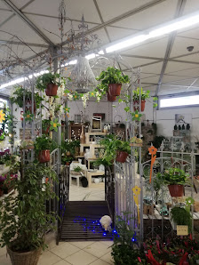 Blumen Holdack