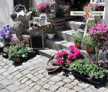 Blumen Cornielje