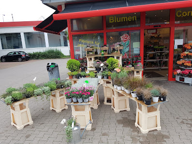 Blumen Cornielje