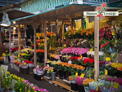 Blumen Cornielje