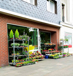 Blumenhaus Steinweg