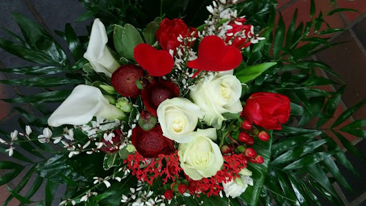 Blumenhaus Steinweg