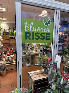 Blumen Risse Blumenladen Paderborn-Innenstadt