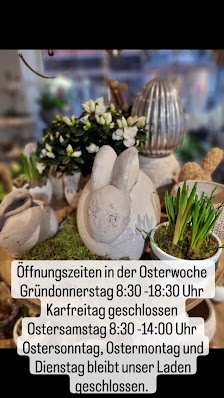 Blütenzauber Petra Timmerhaus