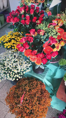 Blumenhaus Kleeblatt