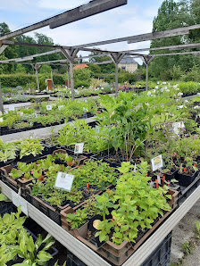 Zum Staudengarten e.K.