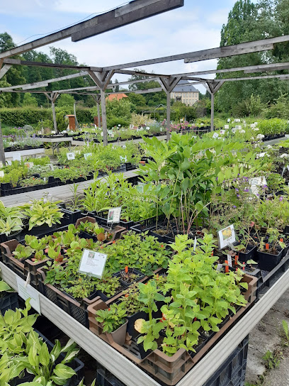 Zum Staudengarten e.K.