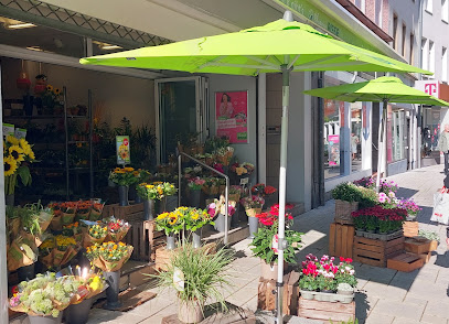 Blumen Risse Blumenladen Bergisch-Gladbach-Bensberg