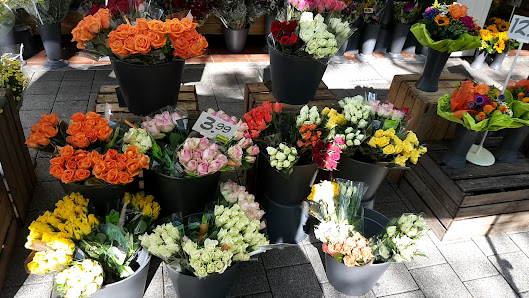 Blumen Risse Blumenladen Herne