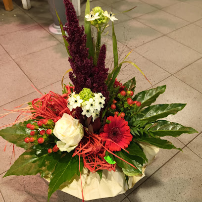 Blumen Frank Ohm