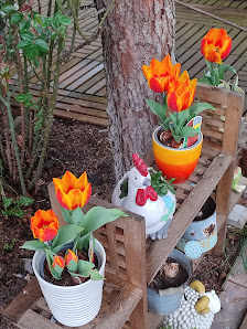 Magic Flowers, Inh. Sabine Flüchter