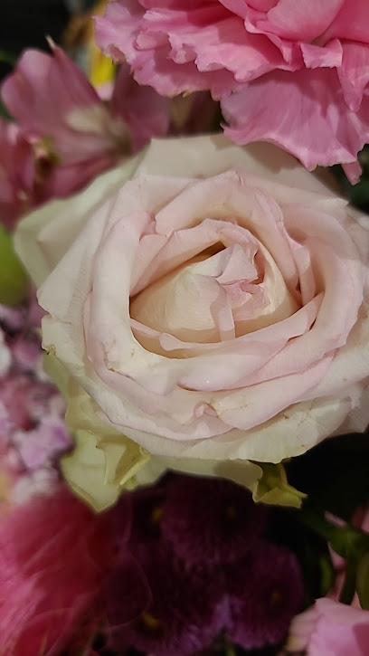 Blumen Langenkamp - Recklinghausen
