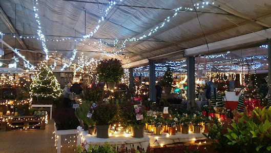 Blumen Risse Gartencenter Recklinghausen