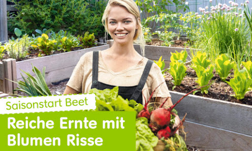 Blumen Risse Gartencenter Recklinghausen