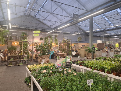 Blumen Risse Gartencenter Recklinghausen