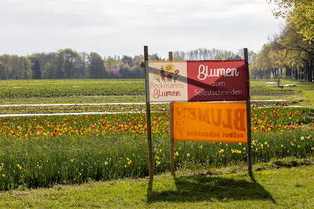 Beckmanns Blumen