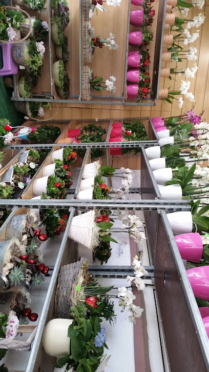 Tino-Flora - Recklinghausen