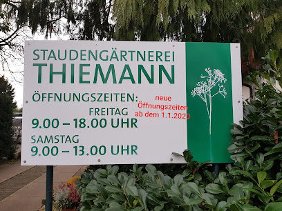 Ludger Thiemann