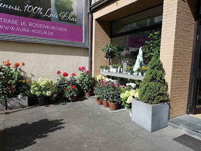 Blumen Wind