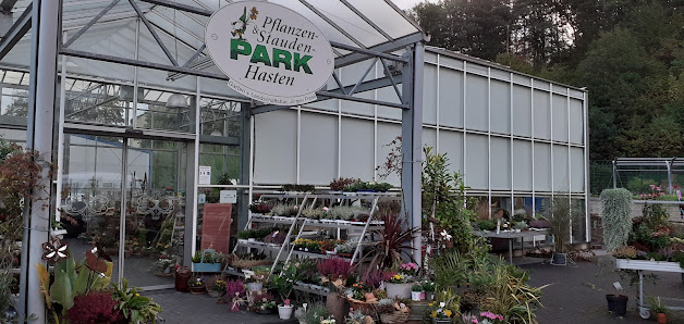 FRESE Pflanzen- und Staudenpark Hasten