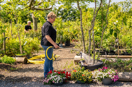 Plückebaum Baumschule & Gartenbau