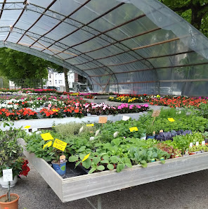Gärtnerei Höpken auf dem Schützenplatz in Remscheid