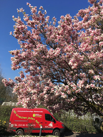Andreas Schneider Garten und Baum GmbH