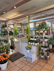 Blumen Gierling